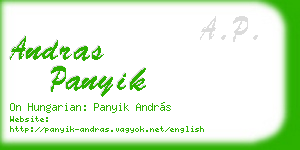andras panyik business card